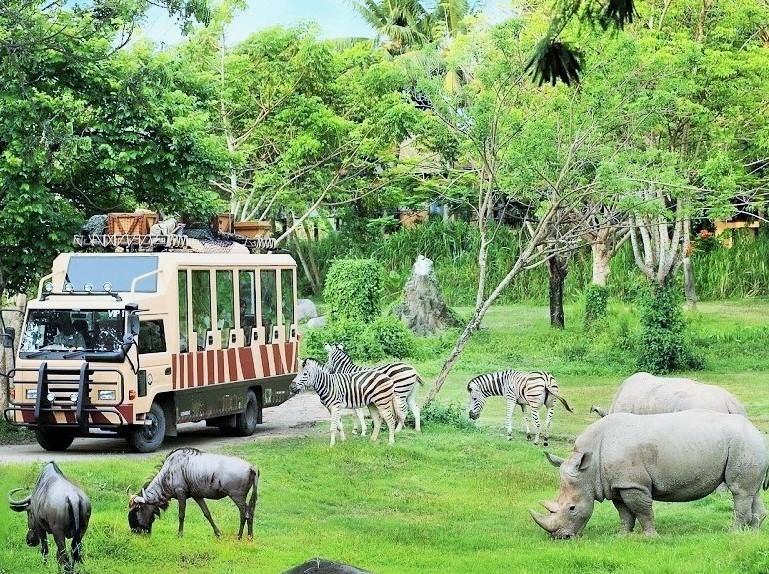 Safari - Vườn thú hoang giã lớn nhất Việt Nam